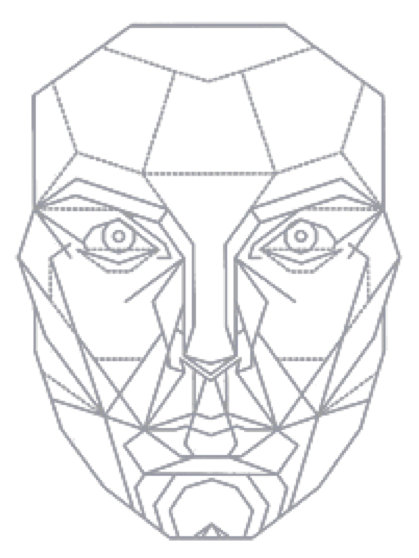 perfect face template transparent for procreate